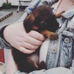 Jane McHale - @jane_mcchale - Instagram
