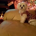 Jane  mckee - @mckeejane6256 - Instagram