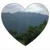janemckeedurning - @janemckeedurning - TikTok