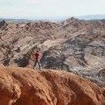 Jane Mcleod - @jane.mcleod.391 - Instagram