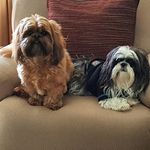 jane mcmanus - @mcmanusjane - Instagram