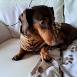 Jane McManus - @janemcmanus707 - Instagram
