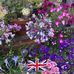 Jane Mcmanus - Facebook