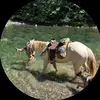 Janemeacham_ - @janemeacham_ - TikTok