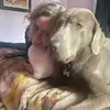 Cody p0 - @janemelville931 - TikTok