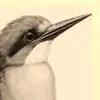 Jane M - @jane.e.melville - TikTok