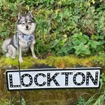 Jane Mercer - @fascinating_creature - Instagram