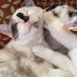 Jane Fox Messer - @jane_fox_messer - Instagram