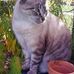 Jane Messer - Facebook