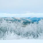 Jane Messer - @jane.messer - Instagram