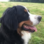 janemesser - @janemesser_ - Instagram