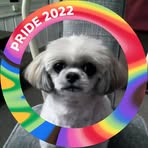 Janet Messersmith - Facebook