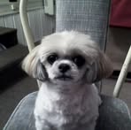 Janet Messersmith - Facebook