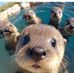 Jayne Ostman Miers - Facebook