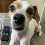 Minerva Jane - @missminervajane - Instagram