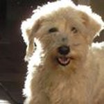 Jane Minor McCasland - @lady_pebblz - Instagram