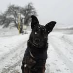𝓙𝓪𝓷𝓮 - @jane_mixstaff - Instagram