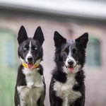 JANE & MOHANA - @jane_et_mohana - Instagram