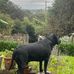 Jane Mohan - Facebook