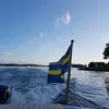 janemohn - @janemohn - TikTok
