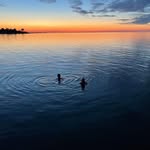 Jane Møldum - @janemoldum - Instagram