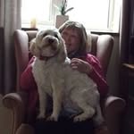Jane Molloy - @thejanemolloy - Instagram