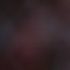 deleted account - @jane_moloney - TikTok