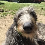 Jane Moloney - @janemoloney73 - Instagram