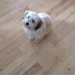 Jane Moloney - @jane.moloney.127 - Instagram