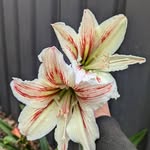 Jane Moloney - @jmo.molo - Instagram