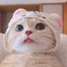 Jane Momo - Facebook