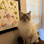 Jan Moore - @jan.e_moore - Instagram