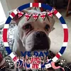 Janette Moorehead - @user604457237 - TikTok