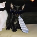 Janna Moorman - @livelaughlovejanna09 - Instagram