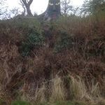 Jane Morrison - @jane.morrison.7923 - Instagram
