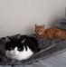 Jane Morrow - Facebook