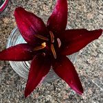 Jane Morrow - @jane.morrow.583 - Instagram