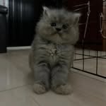 Janet - @_moscatojanet - Instagram
