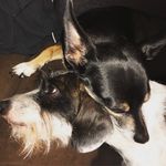 Dojahh & Jane Mosqueda - @dojahh__featuring__jane - Instagram