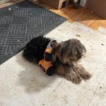 Janet Mowery - @janet_mowery - Instagram