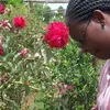 Jane Mugambi - @jane.mugambi5 - TikTok
