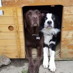 Janette Mulhern - @janettemulhern - Instagram