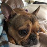 Jane Mullany - @janemullany27 - Instagram