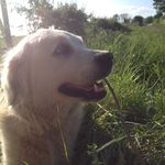 Jane Mulligan - @janemull7 - Instagram