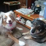 Janet Mulrooney - @janmulrooney9420 - Instagram