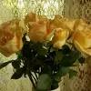 Janet Mulrooney - @janet.mulrooney - TikTok
