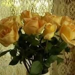 Janet Mulrooney - @janetmulrooney - Instagram