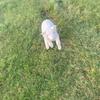 janemulvey09 - @janemulvey09 - TikTok