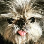 Liza - @liza_jane_mulvey - Instagram