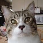 Jan Murakami - @janm96782 - Instagram